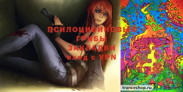 гидра Тольятти