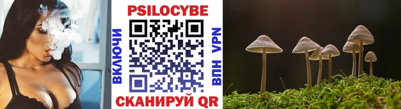 Галлюциногенные грибы GOLDEN TEACHER  Агрыз 